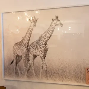 Schilderij outlet60