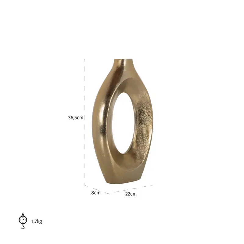 - Vaas Alma groot (Brushed Gold)