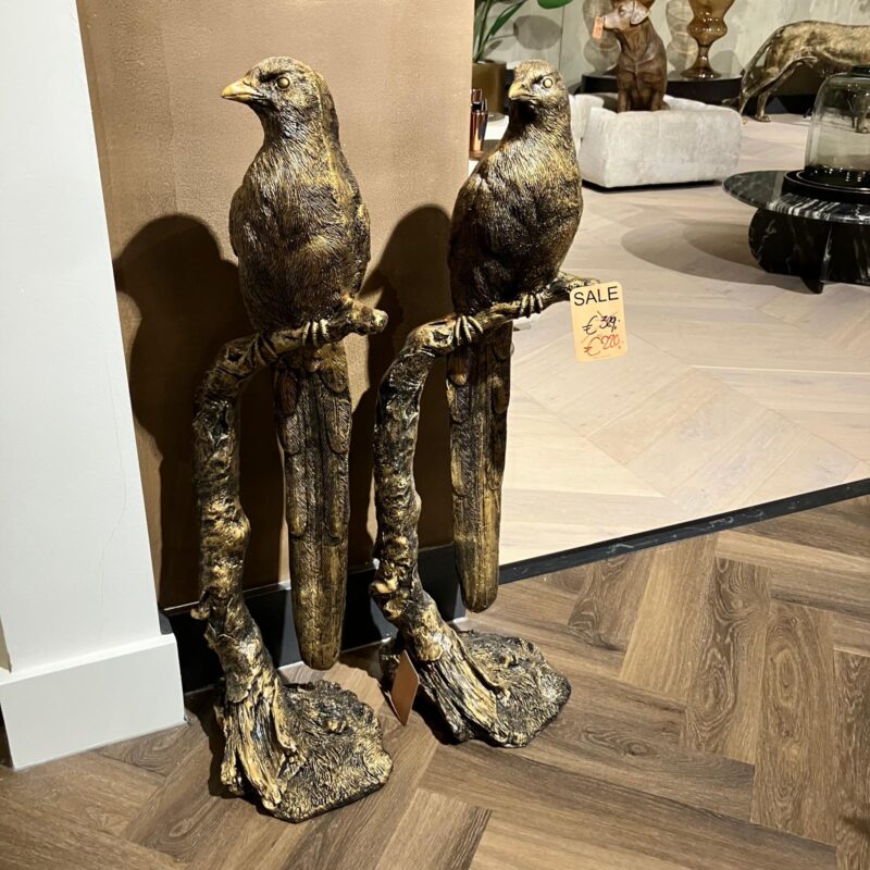 Vogel op tak summersale005