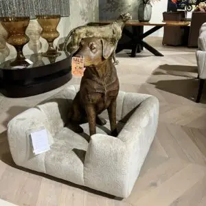 Hond zittend summersale006