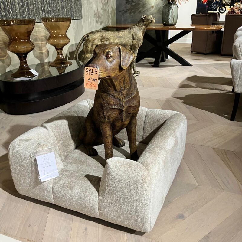 Hond zittend summersale006