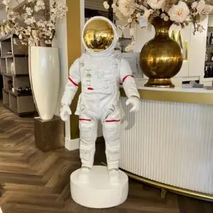 Neil Armstrong summersale015