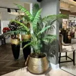 Megaplant met Pot summersale057