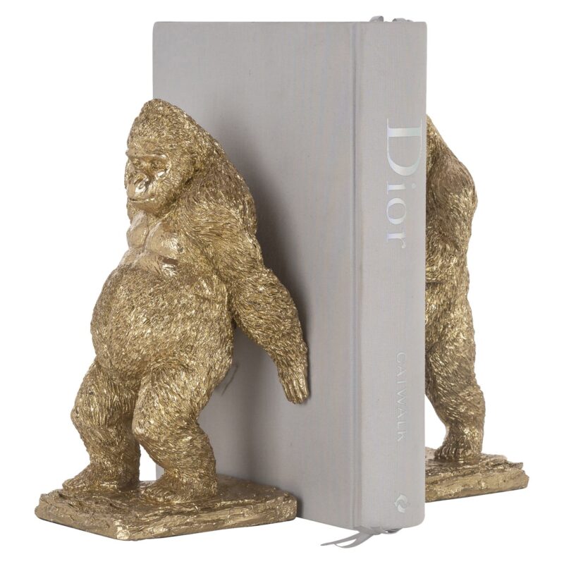 - Boekenstandaards Donky gold