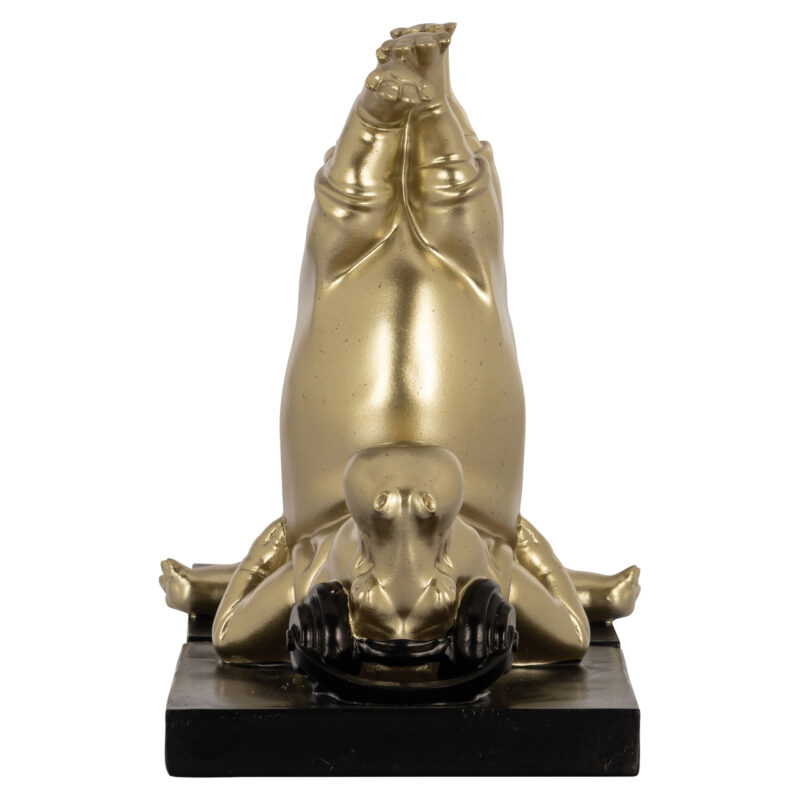 - Boekenstandaards Hippo