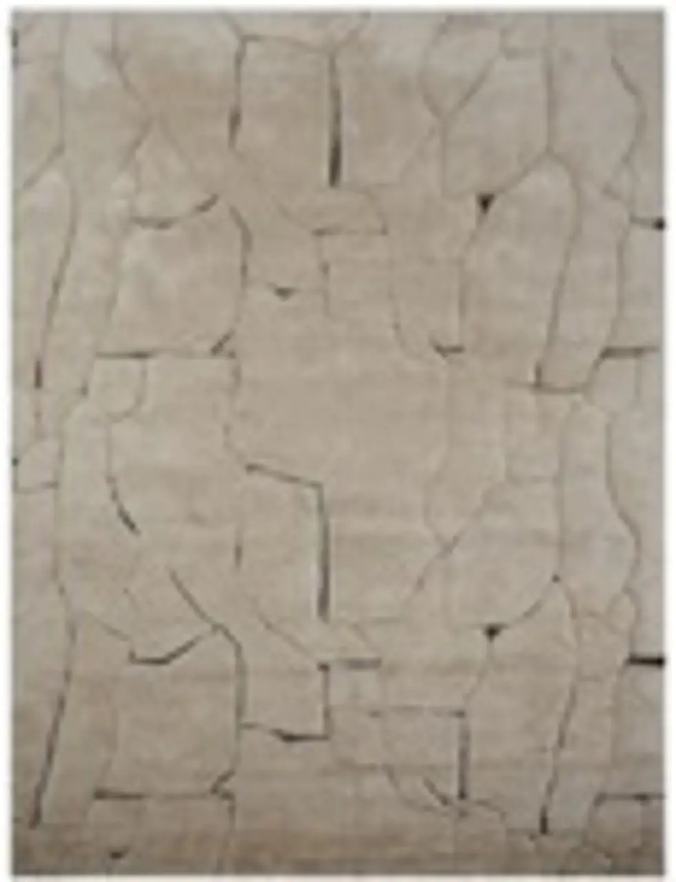 - Tapijt Bhawan brown 200x300