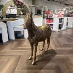 Sculptuur Paard
