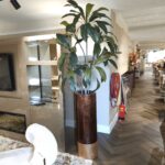 Vaas + Plant Flame vu2534