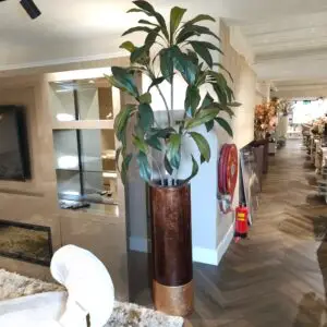 Vaas + Plant Flame vu2534