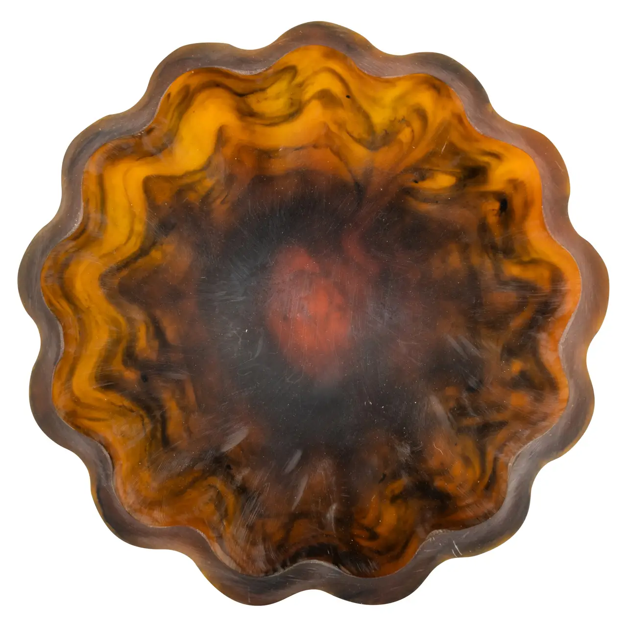 - Schaal Jasmine tortoise small