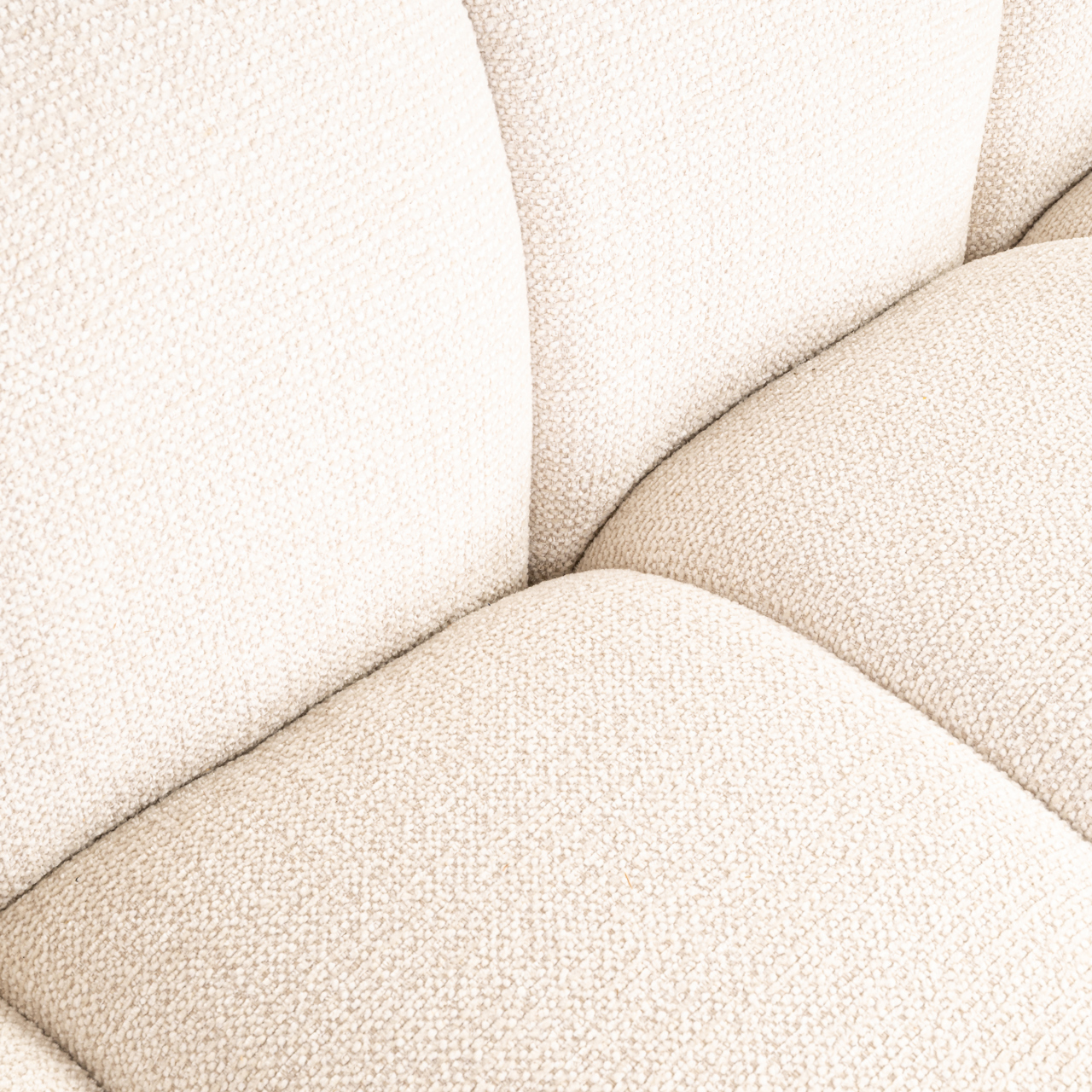 - Bank Jezebel cream fancy